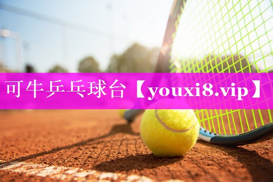 可牛乒乓球台