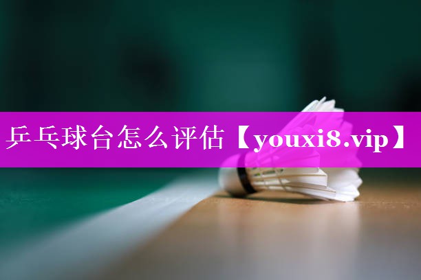 乒乓球台怎么评估