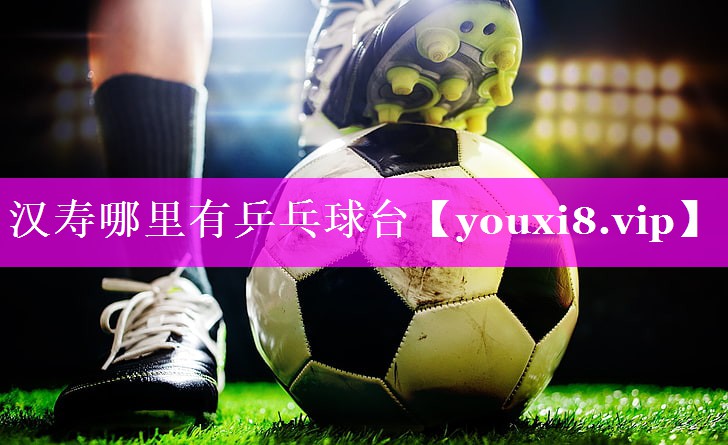汉寿哪里有乒乓球台