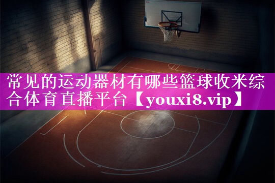 常见的运动器材有哪些篮球收米综合体育直播平台