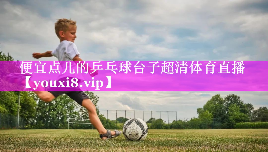 便宜点儿的乒乓球台子超清体育直播