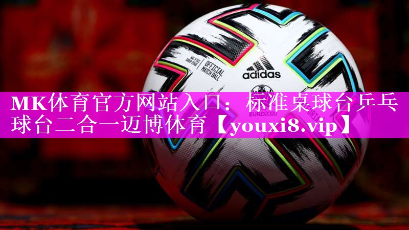 MK体育官方网站入口：标准桌球台乒乓球台二合一迈博体育