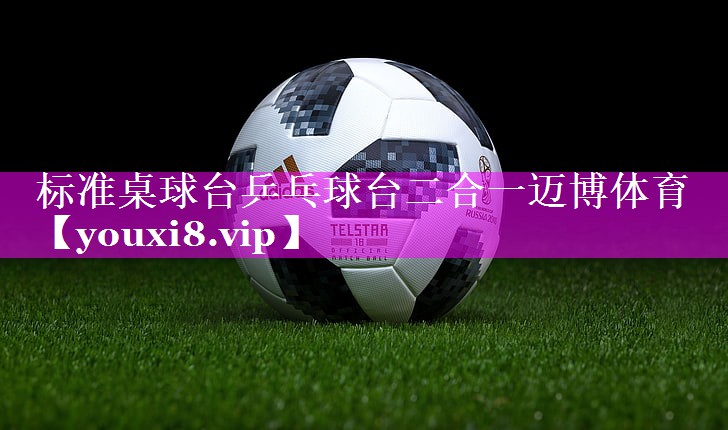 标准桌球台乒乓球台二合一迈博体育
