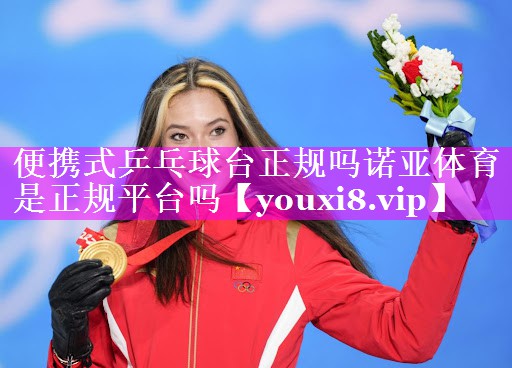 便携式乒乓球台正规吗诺亚体育是正规平台吗