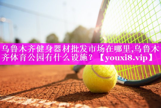 乌鲁木齐健身器材批发市场在哪里,乌鲁木齐体育公园有什么设施？