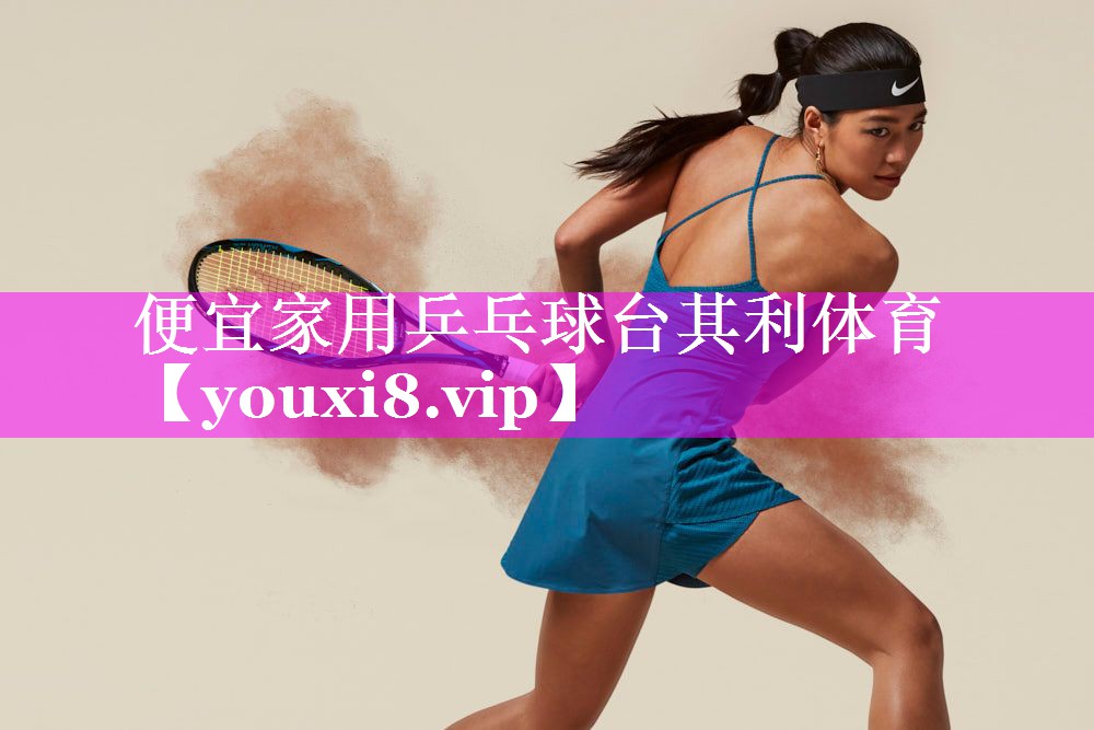 便宜家用乒乓球台其利体育