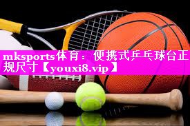 便携式乒乓球台正规尺寸 便携式乒乓球台正规尺寸